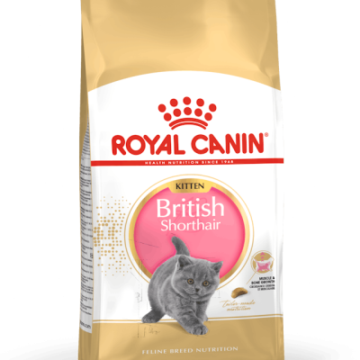 Royal Canın British Sortair Kitten Yavru Kedi Maması 2Kg