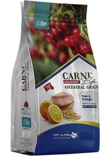 Carni Medium Maxi Balık Portakal Yavru Köpek Maması 12 kg